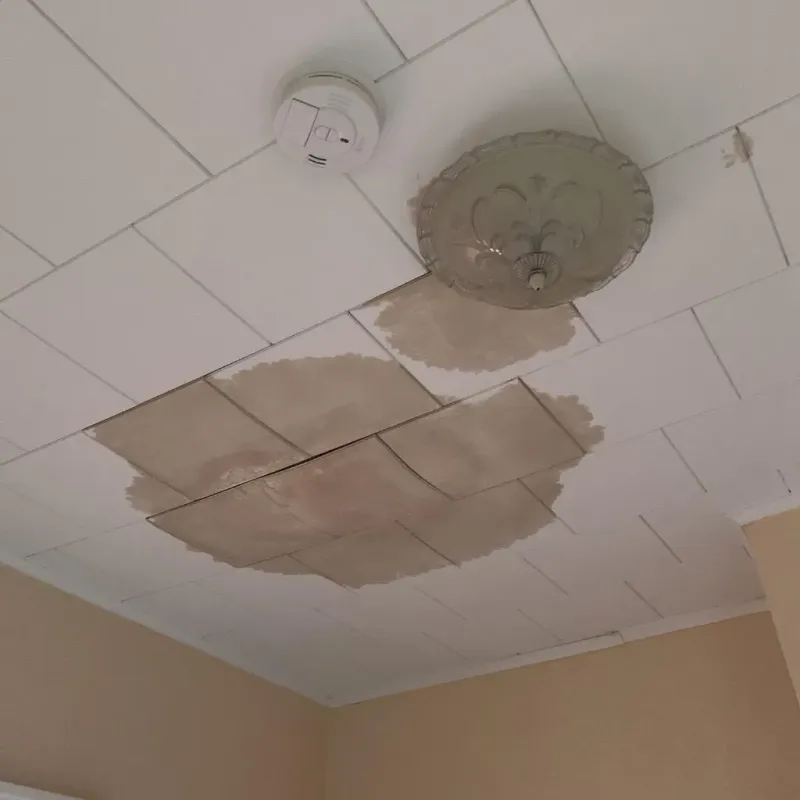 Ceiling Water Damage Repair in Foscoe, NC